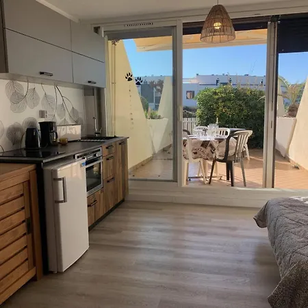 517 Grand Avec Garage Heliopolis L Grande Terrasse Rez-de-chaussee 公寓